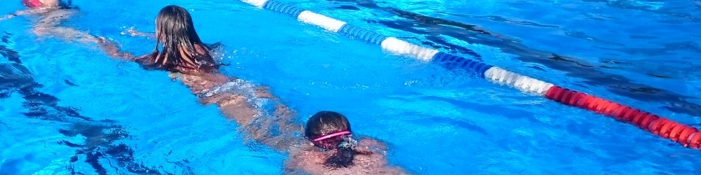 Schwimmtraining